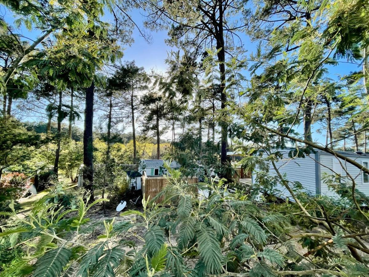 Tiny House Famille Nature Cap Ferret Claouey Luaran gambar