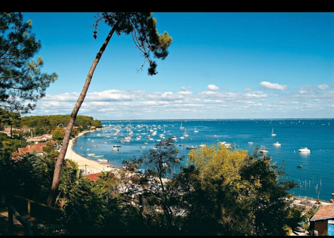 Tiny House Famille Nature Cap Ferret Claouey Luaran gambar