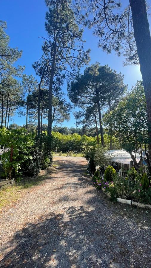 Tiny House Famille Nature Cap Ferret Claouey Luaran gambar